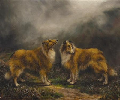 COLLIES IN A MISTY LANDSCAPE