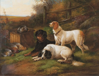 Setters After the Hunt