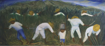 Laborers in a Sugar Cane Field