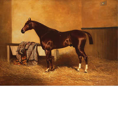 A Liver Chestnut Horse in a Stall