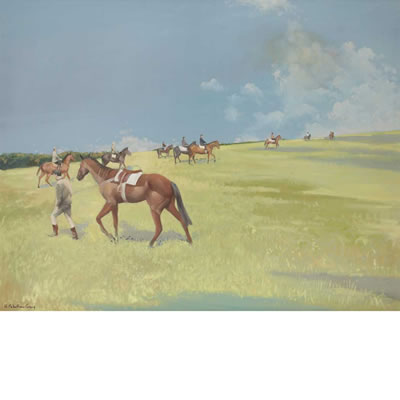 Morning Gallops, The Curragh, Ireland