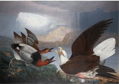 Death of a Warrior: White Headed Eagle, Canvas Back Duck & Young (The Death of a Tyrant)