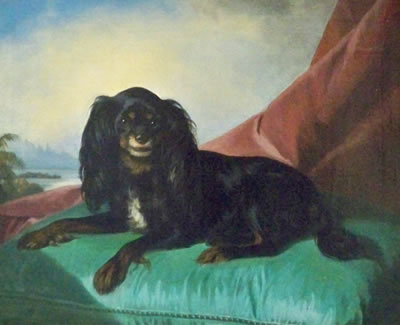 King Charles Spaniel, 1850