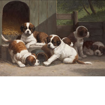 Puppies in the Pen