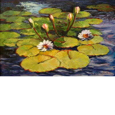Water Lilies