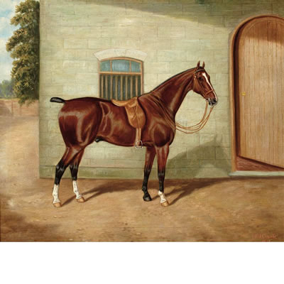 Horse Outside the Stable