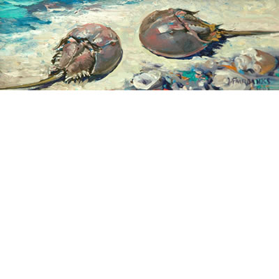 Pair of Horseshoe Crabs by Jonathan Fairbanks - Auction record, sale price, and art valuation. Compare with similar artists and explore comparable artworks.