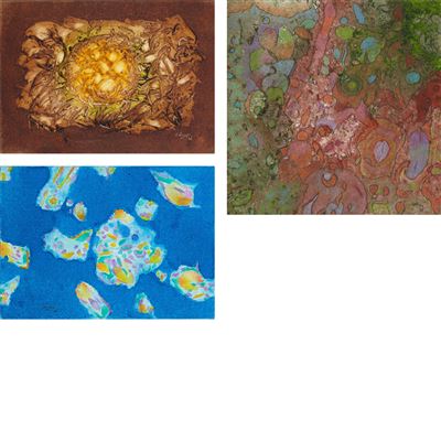 (i) Earth Medallion, 2006 , (ii) Winter: 2008, 2008 , (iii) Astral Images, 2004 (3)