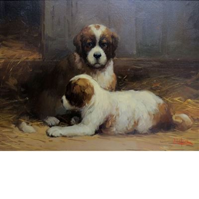 St. Bernard Puppies