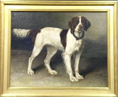 Portrait of a Dog Named Lassie