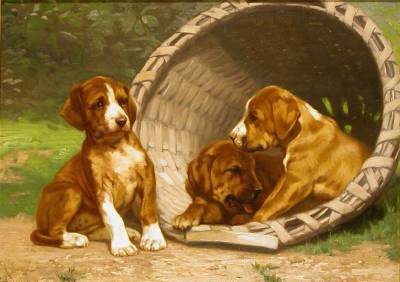 Basket of Puppies by John Dolph - Auction record, sale price, and art valuation. Compare with similar artists and explore comparable artworks.