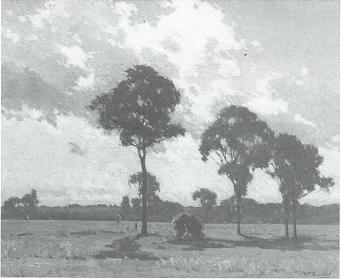 A Sunny Landscape