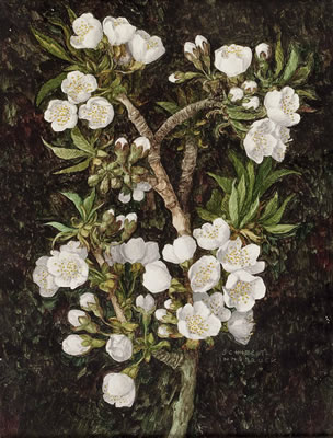 Sample artwork by Hugo Meinhard Schiechtl (1922 - 2001), known for painting - View similar artists and auction records