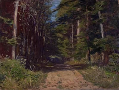 Sonnendurchfluteter Waldweg