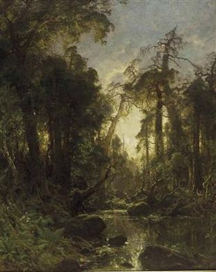"Sonnendurchflutetes Waldinneres"