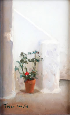 Patio andaluz