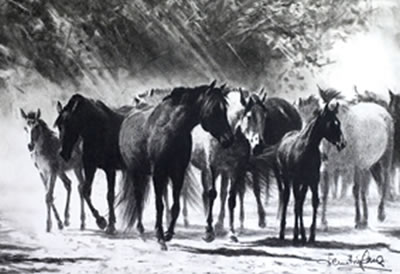 Tropel de caballos