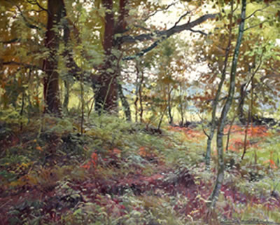 Maraña