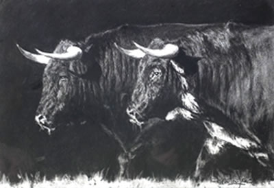 Paraja de toros