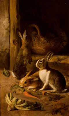 Conejos