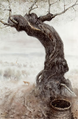 Tronco de olivo