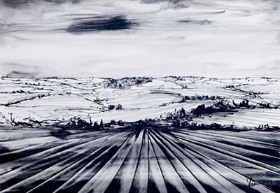 Paisaje