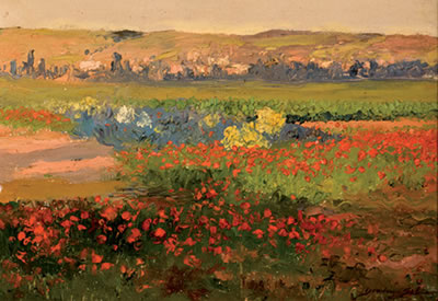 El campo en primavera