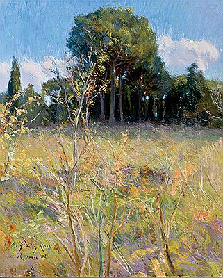 Paisaje by Baldomero Gili Y Roig - Auction record, sale price, and art valuation. Compare with similar artists and explore comparable artworks.