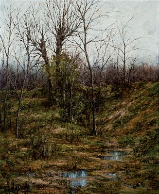Paisaje