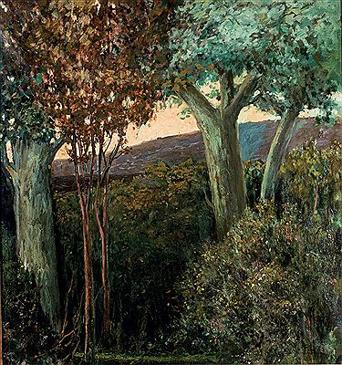 "Atardecer en bosque gallego"