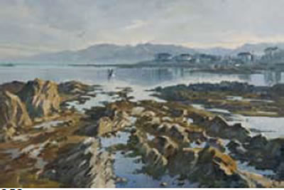 Low Tide, South Bay Kaikoura