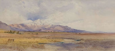 Near Peel Forest, South Canterbury