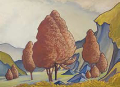 Manuka in Papa Country
