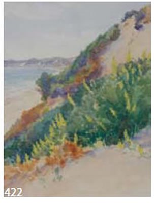 Coastal Lupins