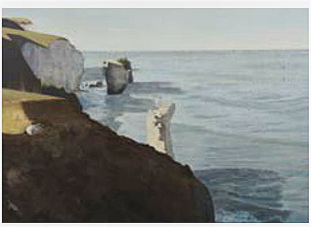 Tunnel Beach, White Island, 2005