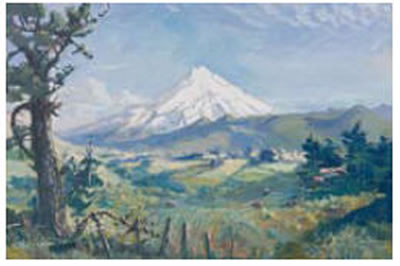 Mount Egmont beyond Westown