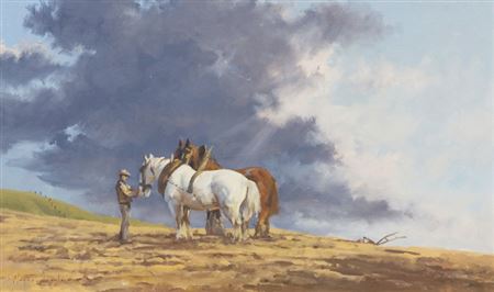 Ploughing the Fields