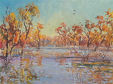 Outback Wetland, Lightning Ridge, NSW