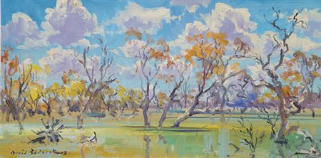 Weetalibah Waterhole, Lighting Ridge