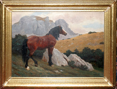 Wild Stallion in the Mountains