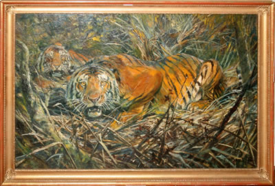 Tigers in Jungle
