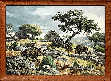Boars in the wild