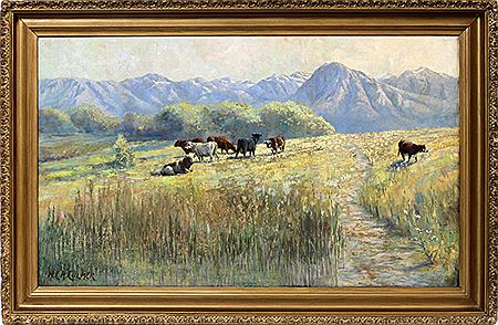 Mountain Pasture