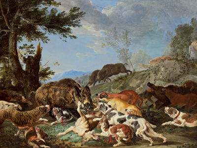 Boar hunt