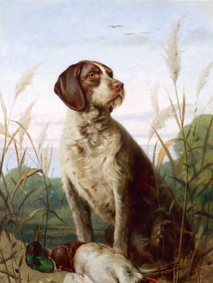 Proud Hunting Dog with his Prey