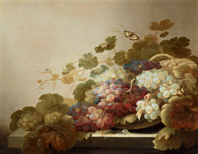 Still life with grapes, butterflies, a grasshopper, and a spider