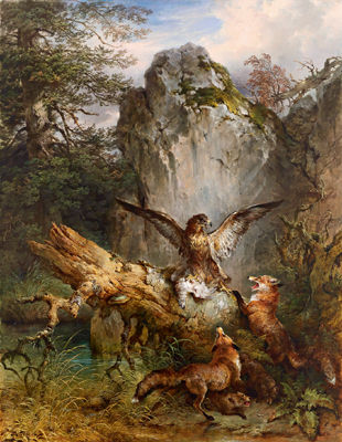 Füchse wollen einem Adler die Beute abjagen