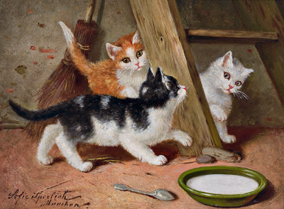 The Milk Dish