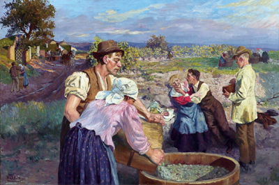 "Vintage in Lower Austria, 6000 Litres"