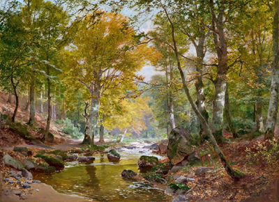 Herbstliche Waldlandschaft